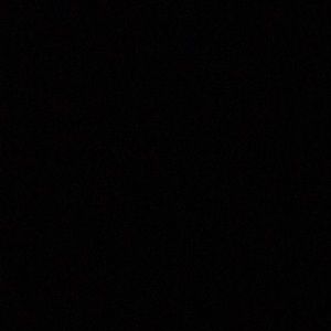 Meet your Posher, Hayden